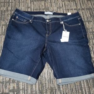 Blue Jean Cuffed Shorts